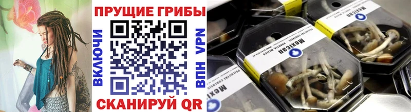 Галлюциногенные грибы мицелий Славск