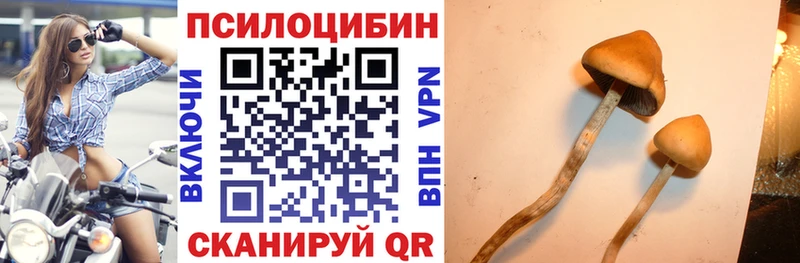 Купить  Славск  Псилоцибиновые грибы прущие грибы 